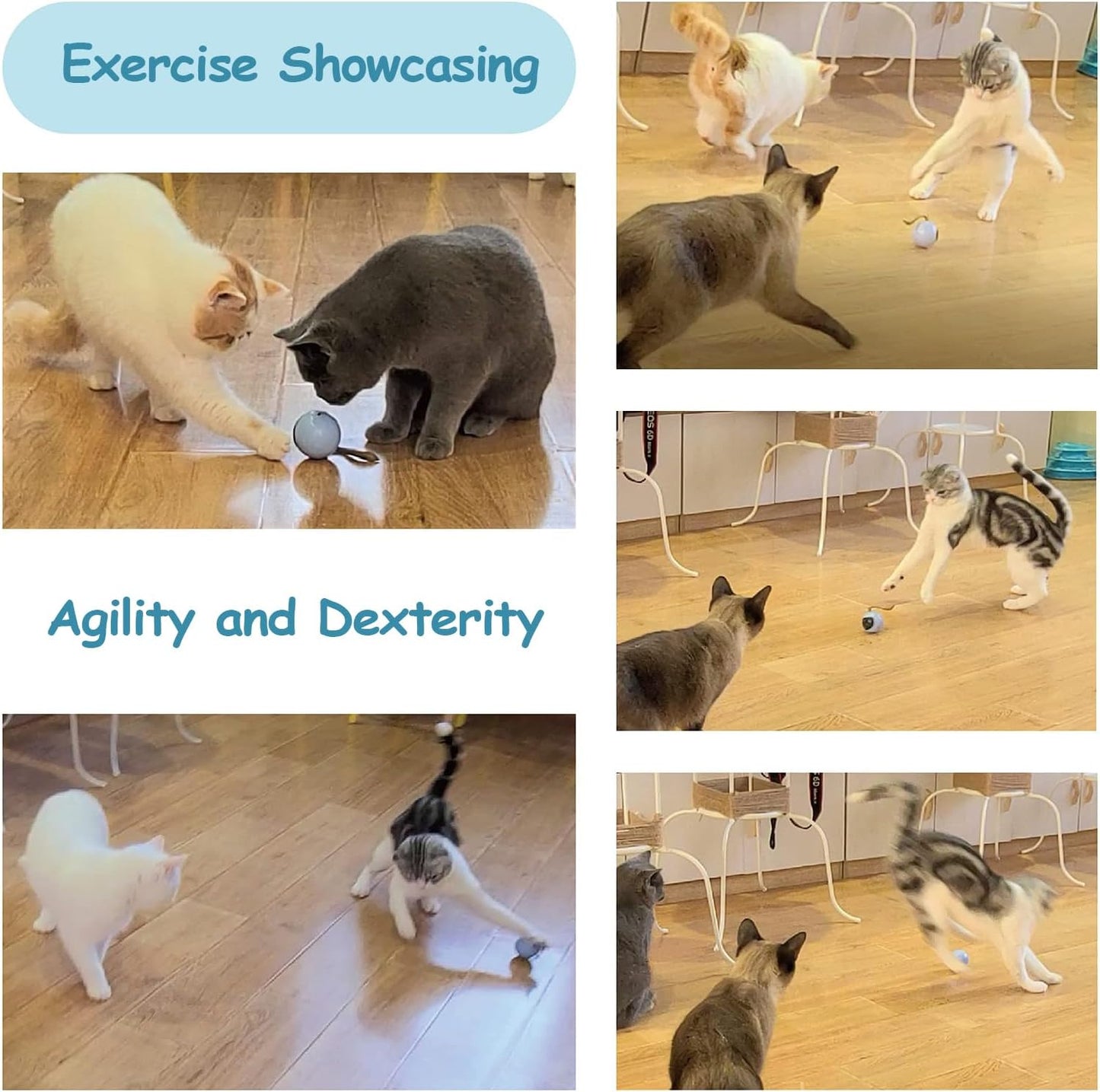 Interactive Cat Ball Toy Set, Fun Tracker, Automatic Moving Chase Ball with Fluffy Tail, a Small Mice, Rechargeable (White)