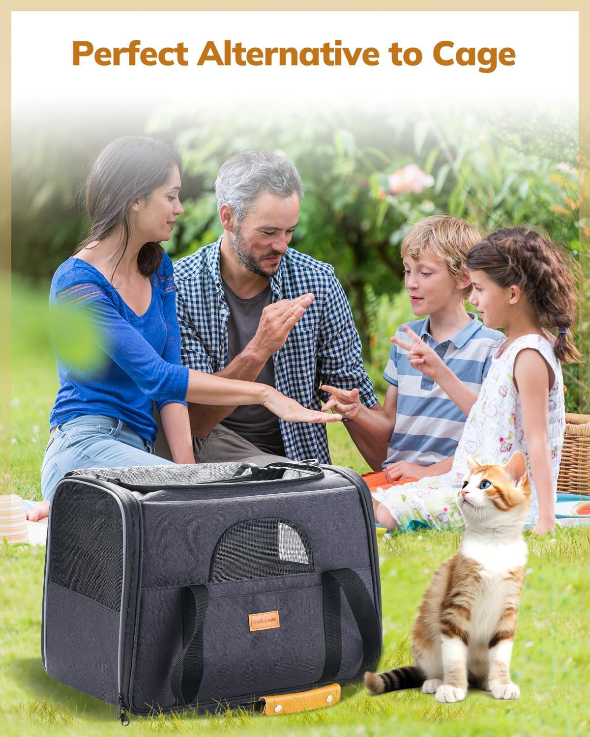 Soft-Sided Large Cat Carrier for Medium to Big Cats and Puppies Up to 18 lbs - Airline Approved with Safety Zippers and Foldable Bowl - Dark Gray