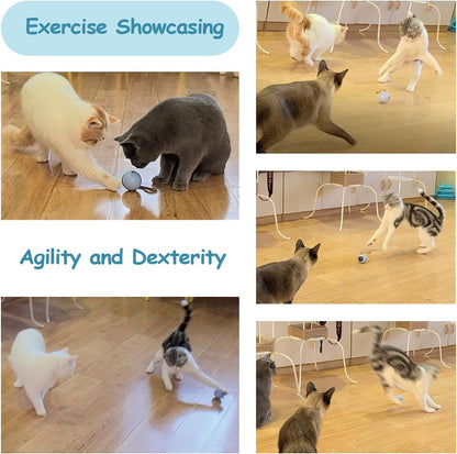 Interactive Cat Ball Toy Set, Fun Tracker, Automatic Moving Chase Ball with Fluffy Tail, a Small Mice, Rechargeable (White)