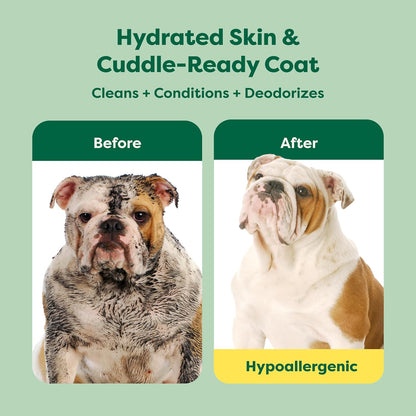 (A Canadian Company), 3-In-1 Soothing Dog Shampoo and Conditioner, Deodorizing Oatmeal Shampoos for Dogs and Puppies, Great for Smelly Pets, White Tea and Basil Scent, 473 Ml